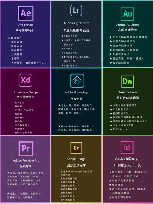 Adobe 2024 全家桶下载与安装详细教程